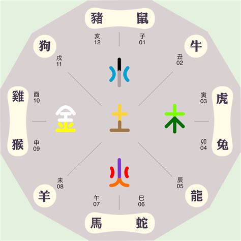 丁五行|天干地支五行对照表